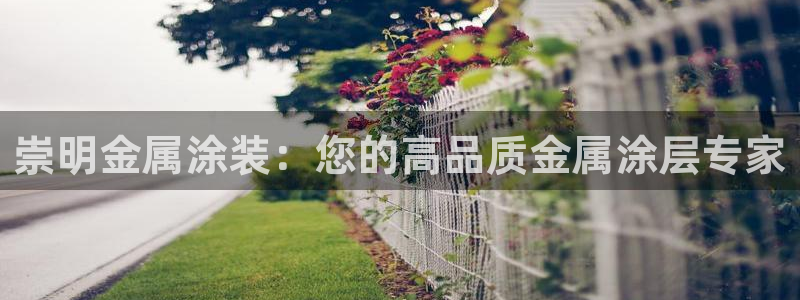 美高梅发财车时间