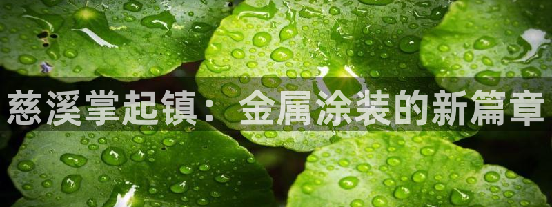 美高梅和米高梅是一家公司吗知乎