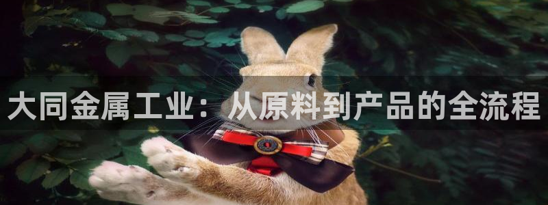 美高梅大酒店拉斯维加斯