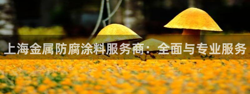 美狮美高梅发财车时刻表