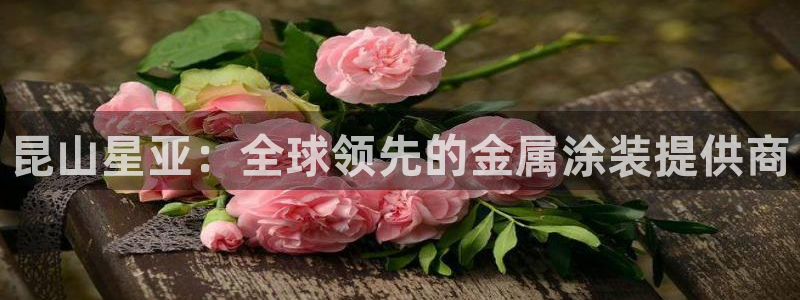 美狮美高梅酒店开业时间