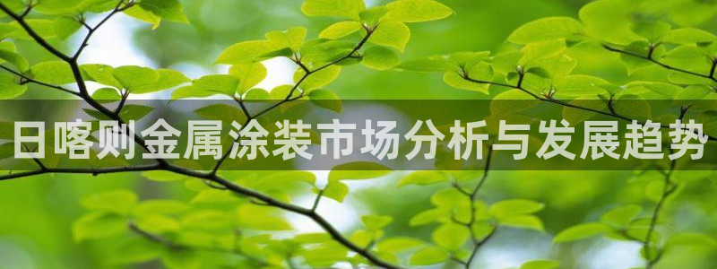 美狮美高梅酒店造价多少
