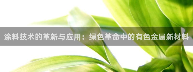 美高梅酒店会员卡级别