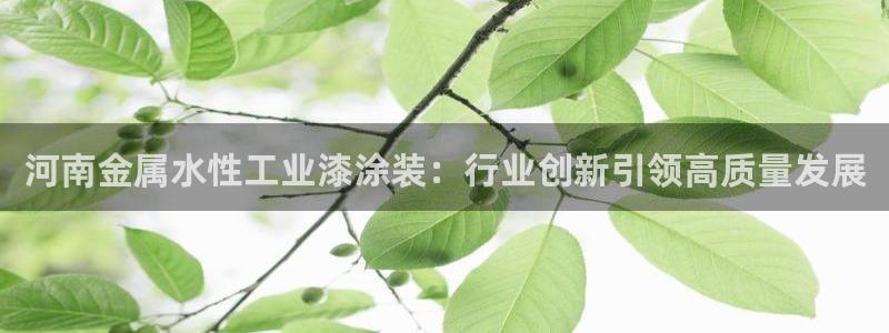 美狮美高梅酒店开业时间