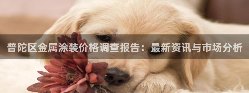 美高梅空气炸锅怎么样