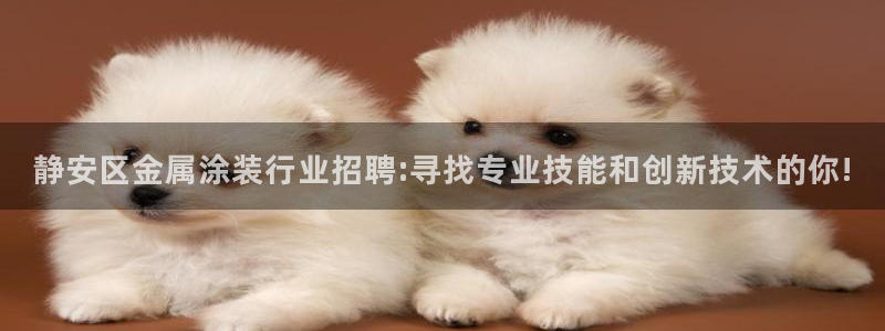 美高梅是做什么的宁波
