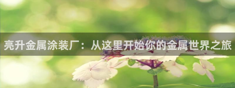 美高梅度假酒店地址