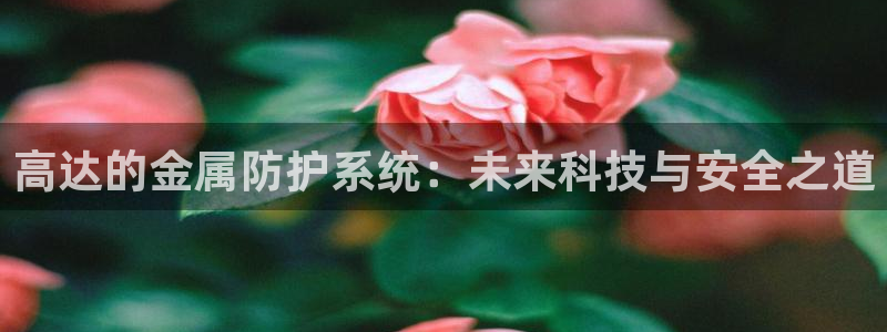 美高梅年卡