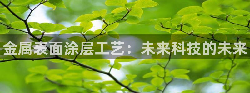 美高梅酒店哪个城市