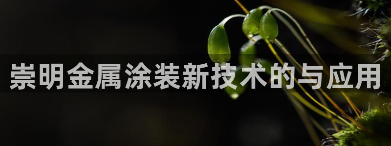 美高梅游戏苹果手机版