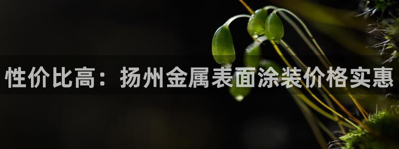 美高梅公司是做什么的