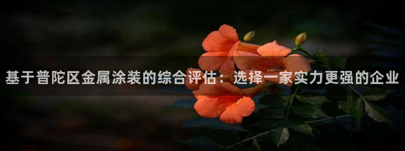 美高梅别墅售楼处