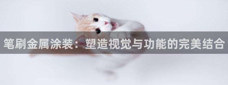 美高梅VIP等级