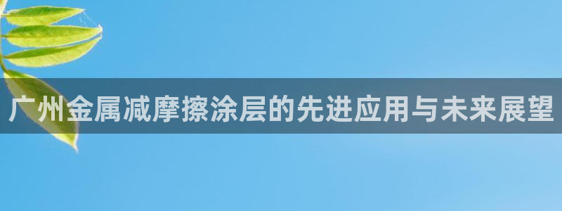 美高梅筹码图片高清