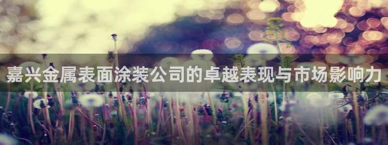 何超琼建美高梅酒店有什么意义：嘉兴金属表