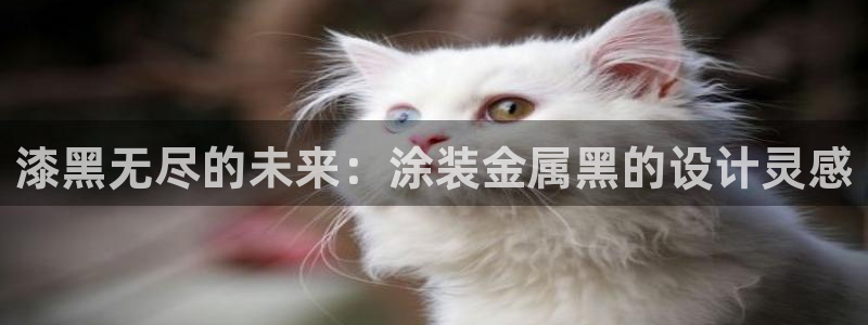 美高梅股份有限公司