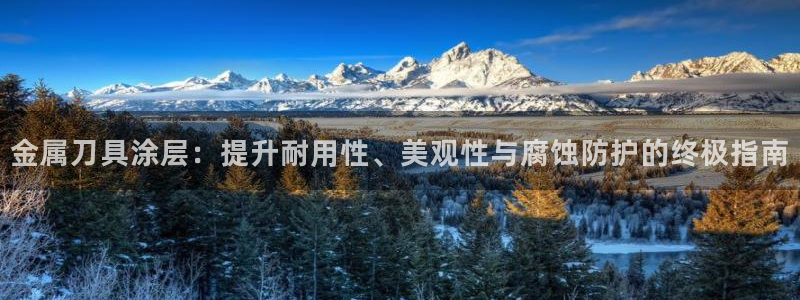 美高梅酒店前台：金属刀具涂层：提升耐用性