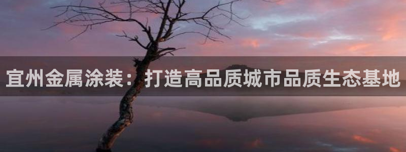 美高梅国际酒店集团和何超琼