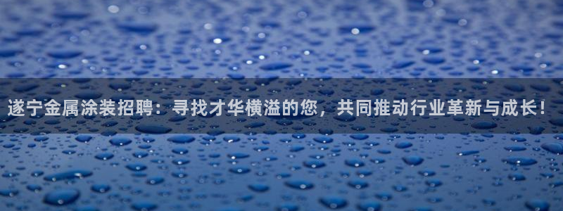 何超琼美高梅国际集团