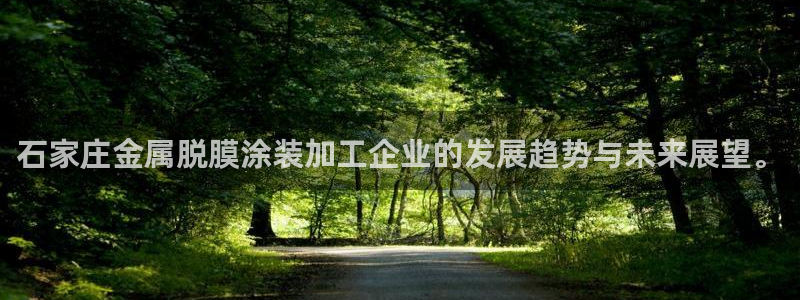 美高梅是谁的资产