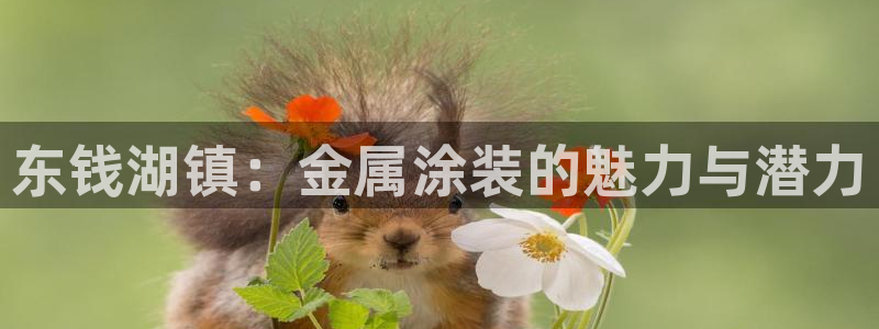 美高梅哪个集团的